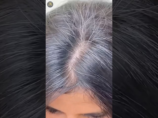 How to make your white hair black at home 🏡😊