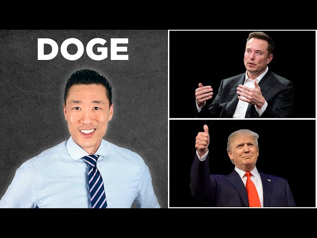 DOGE — Department of Government Efficiency (by Trump and Elon Musk)