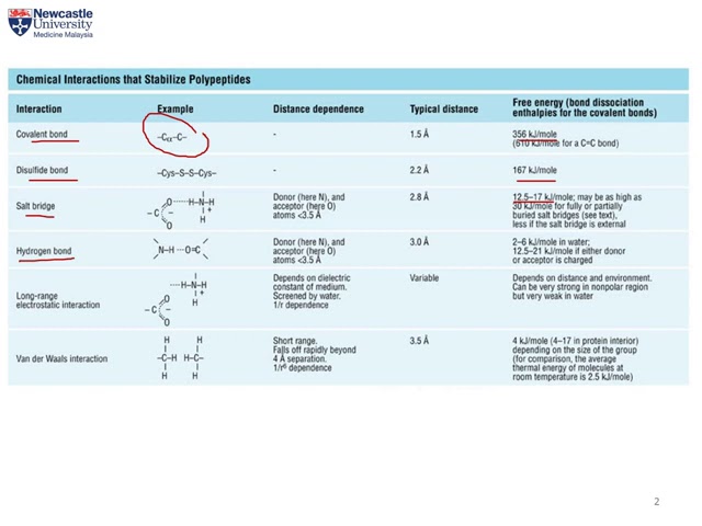 Biochemistry (BMN1001) L3: Chemical interactions that maintain protein tertiary structure