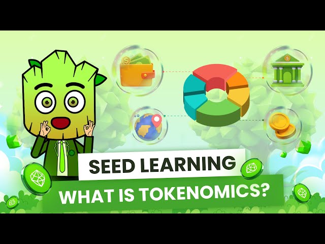 What is TOKENOMICS? How to spot Good Tokenomics of a Project? | SEED Learning #13