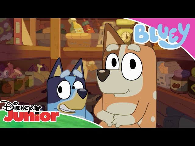 🐶 Superfan Quiz | Bluey | Disney Kids