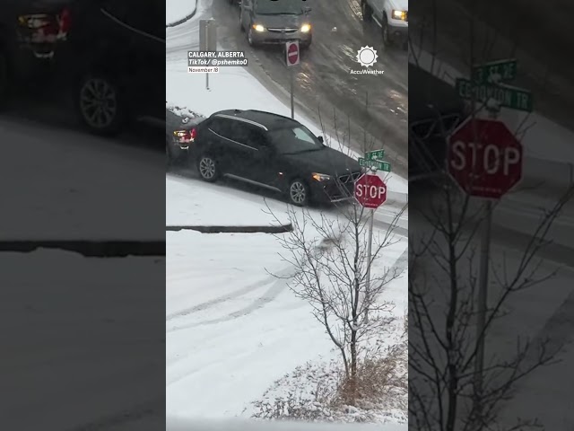 Cars Crash in Calgary Snow