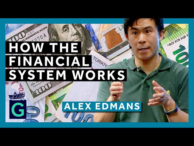 How the Financial System Works