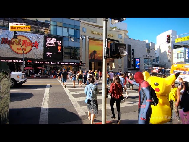 Los Angeles Hollywood Intelligentsia Coffee Shake Shack Burger LA여행 헐리우드 인텔리젠시아 커피 쉑쉑버거