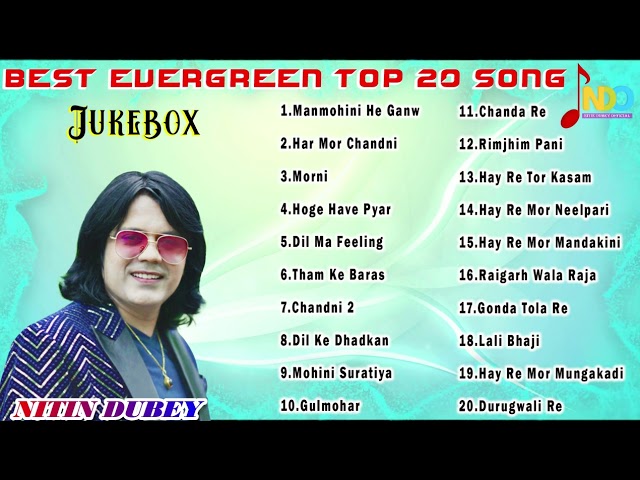 Best Evergreen Top 20 | Nitin Dubey | Superhits Cg Song | Audio Jukebox