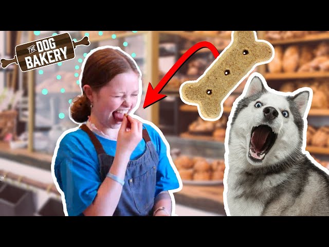 Salish Matter Eats Dog Treats to Save Dogs | Dog's Day Out