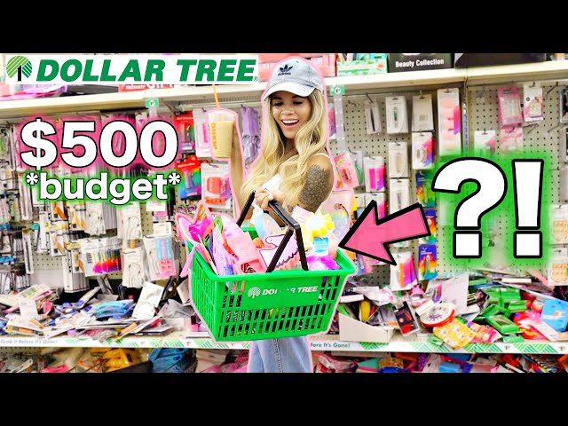 we have $500 to spend at DOLLAR TREE! we went CRAZY!