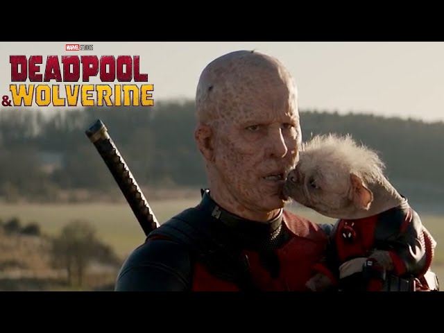 Watch Deadpool & Wolverine again and again and again and again and again and again and again and aga