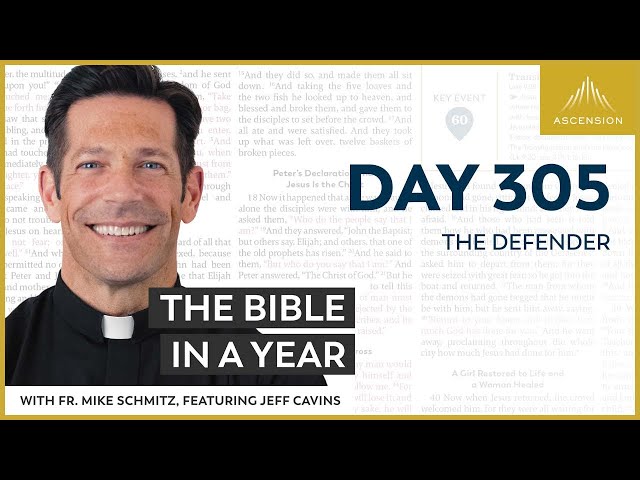 Day 305: The Defender — The Bible in a Year (with Fr. Mike Schmitz)