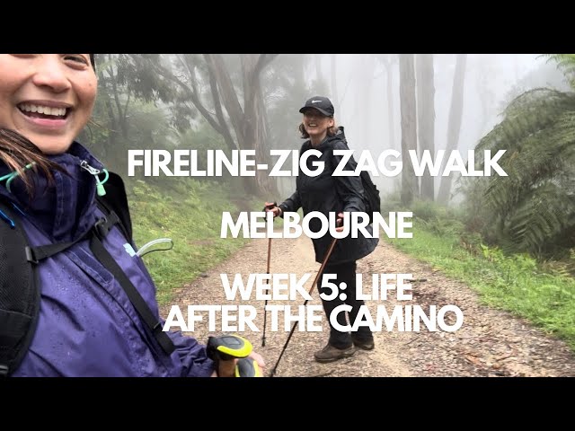 5| Fireline-Zig Zag Walk | 17 km| Melbourne | Week 5 Post Camino