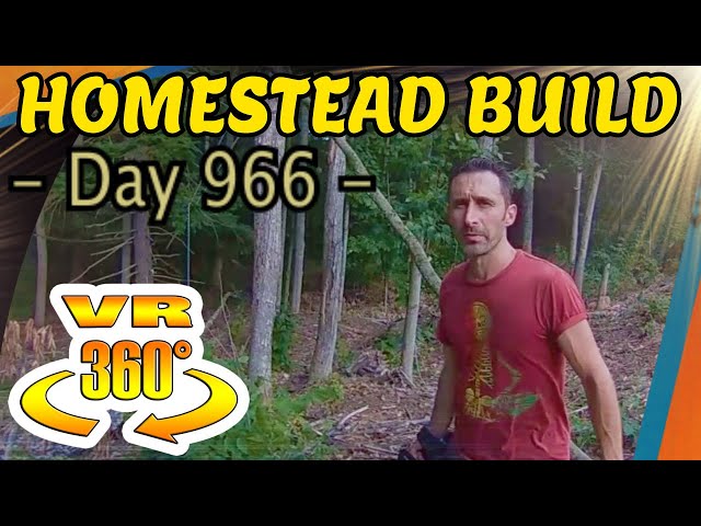 Homestead Build - Cutting Down Large Trees