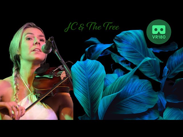 JC & The Tree Live at The BuG in Virtual Reality