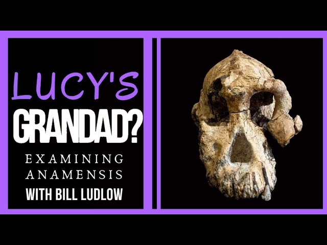 Lucy's Grandad? Examining Australopithecus Anamensis ~ with Bill Ludlow