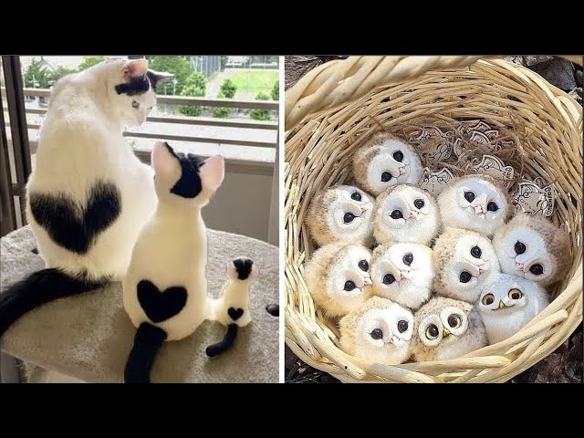 Cute Baby Animals Videos Compilation | Funny and Cute Moment of the Animals #31 - Cutest Animals