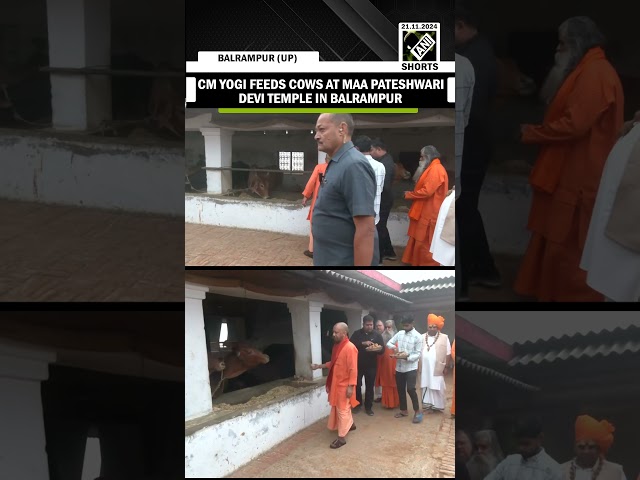 UP CM Yogi feeds cows at Maa Pateshwari Devi Temple in Balrampur