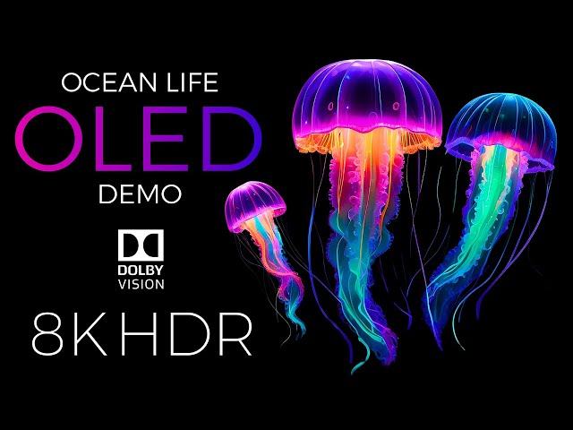 Ocean Life OLED Demo HDR 8K Ultra HD Dolby Vision™ 60fps