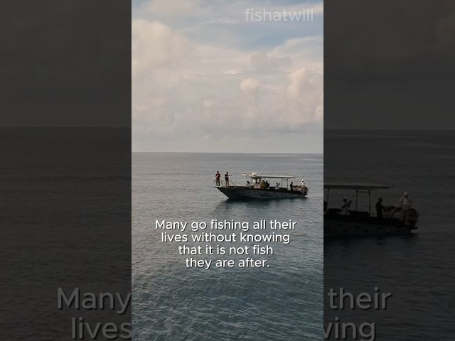 Fishing is not just about catching fish