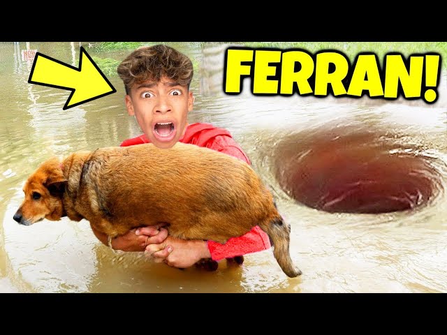 8 YouTubers Who SAVED ANIMALS LIVES! (The Royalty Family, Salish Matter, Ferran)