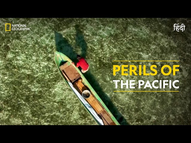 Perils of the Pacific | Primal Survivor | हिन्दी | Full Episode | S2 - E1 | National Geographic