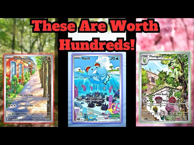 15 Pokemon Cards Under $15 You Should Grade NOW!