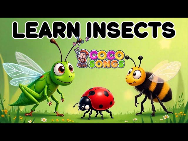 Educational Baby Video | Kids Songs Toddler Learning Video| Learn Bugs & Insects |CoCo Songs Cartoon