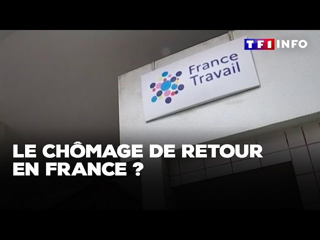 Le chômage de retour en France ?｜TF1 INFO