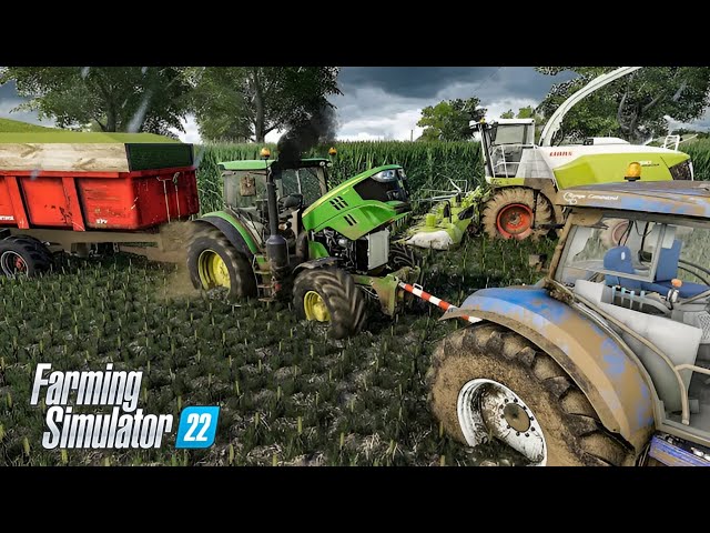 Maize silage harvest in EXTREME MUD ! Every tractor get stuck | Farming Simulator 22