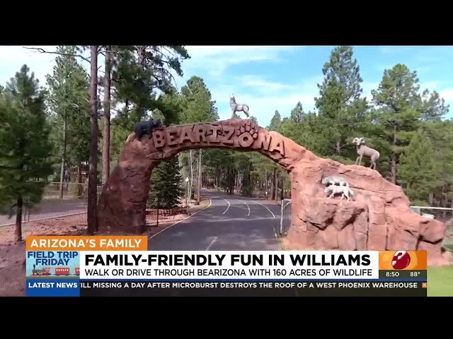 Family-friendly activities to do in Williams