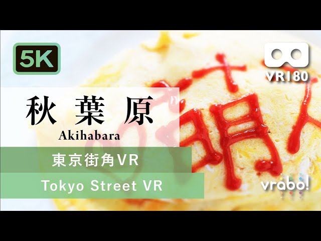 ［VR180／5.7K］秋葉原（東京社会科見学VR＿東京街角VR）