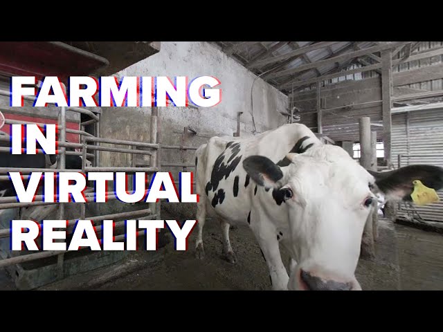 A NYS Dairy Farm in VR