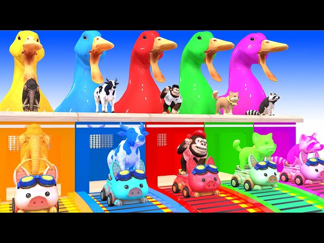 5 Giant Ducks | Cow, Tiger Giant, Monkey, Hippo, Mammoth Elephant, and Magic Bike, Transfiguration !