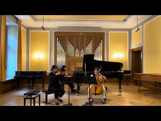 Franz Schubert B-Dur 1.Satz & Fazil Say „Space Jump“  -Trio Bethel-