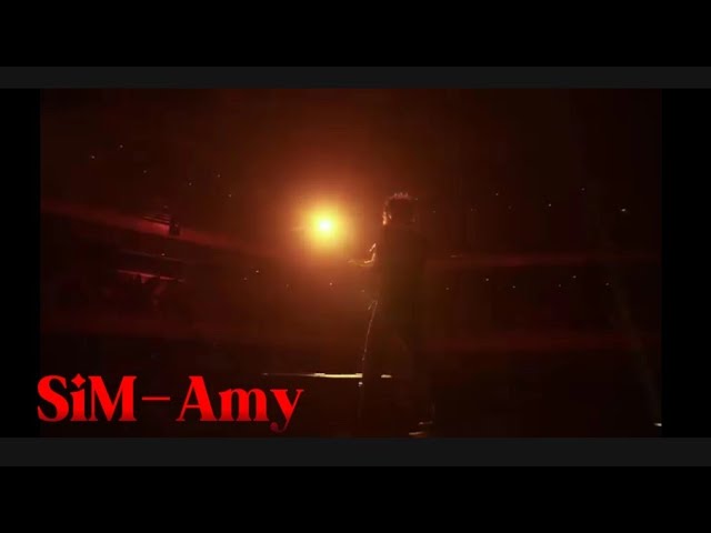 SiM-Amy/WHO SAY WE CAN'T