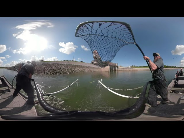 Electrofishing at St. Stephen's Dam