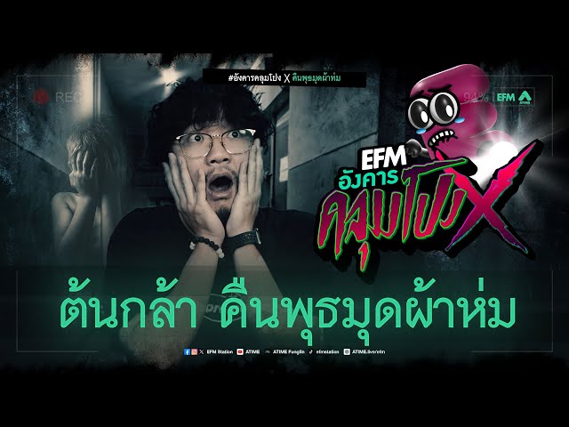 อังคารคลุมโปง X ต้นกล้า คืนพุธมุดผ้าห่ม [ 5 พ.ย. 2567 ]