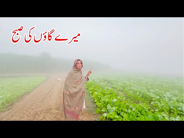 Meray Goan Ki Subah, Mud House Life Pakistan