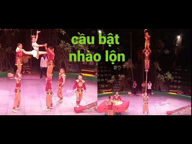 mãn nhãn với màn nhào lộn trên không cầu bật nhào lộn