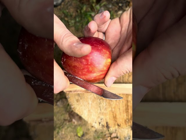 Starting a Fire with an Apple and Flint: Incredible Method