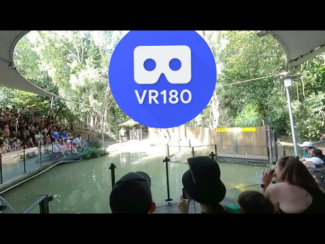 [VR180 VR 3D] Crocodile Attack Show Pt3 @ Hartley's Crocodile Adventures | Family Virtual Reality