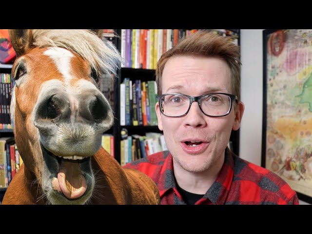 Horses are Very Weird