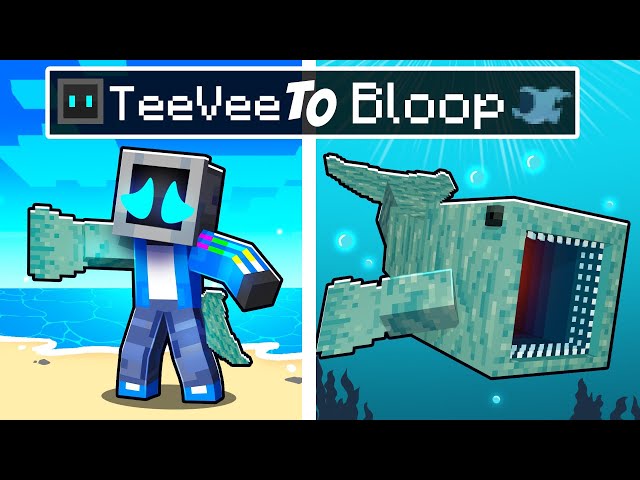 From TeeVee to BLOOP in Minecraft!