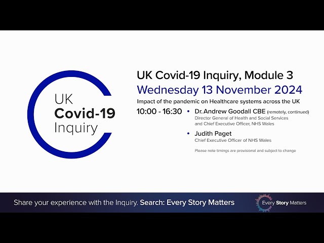 UK Covid 19 Inquiry - Module 3 Hearing - 13 November 2024 PM