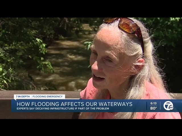 WXYZ- How raw sewage gets into metro Detroit waterways