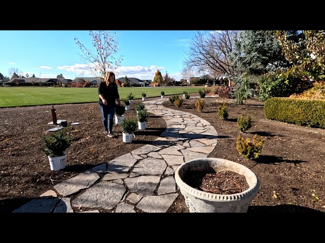 We’re Still Planting! Yews, Shrubs, Grasses & a Crabapple! 🍂🌾🌳 // Garden Answer