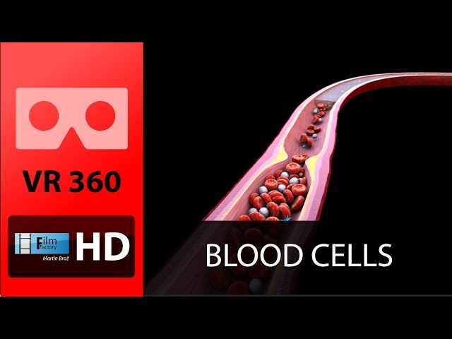 BLOOD CELLS VR 360 - (inside human body)