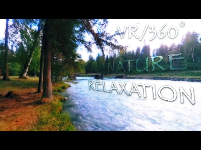 VR/360º Nature Relaxation: Gentle Birdsong by a Sparkling Stream