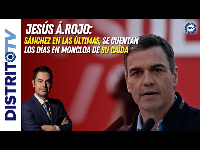 Jesús Á.Rojo:🔴Sánchez en las últimas, se cuentas los días en Moncloa de su caída🔴