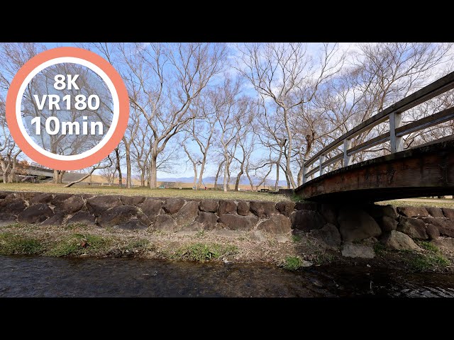 10 Min Meditation Small rivers and bridges in the park VR180 8K Binaural ASMR