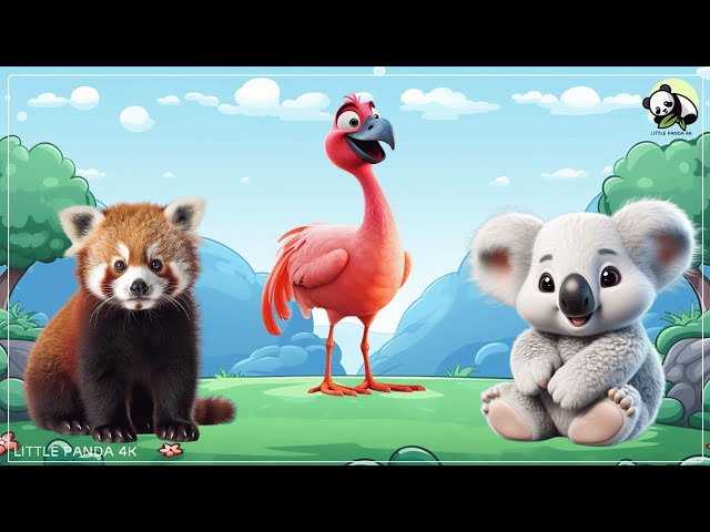 Cute little Animals - Red Panda, Flamingo, Raccoon - Animal Sounds