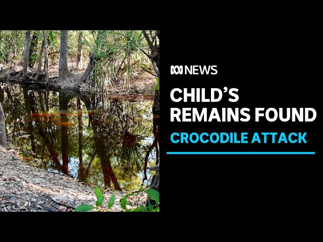 Remains of missing girl found after being taken by crocodile in NT | ABC News